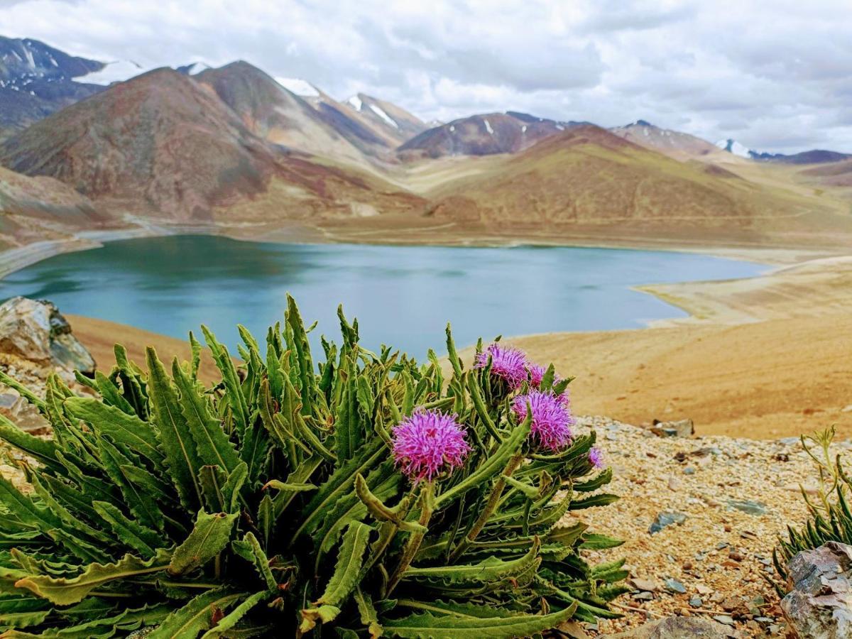 Hotel Camp Redstart Leh Esterno foto